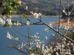 -广州市流溪河国家森林公园