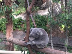 -可伦宾野生动物保护区