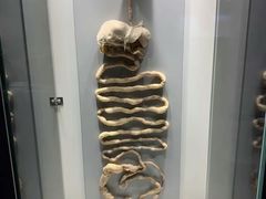 -生命奥秘博物馆