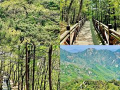 -沂蒙山旅游区龟蒙景区
