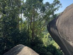 -火炉山森林公园