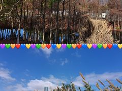 -厦门园林博览苑