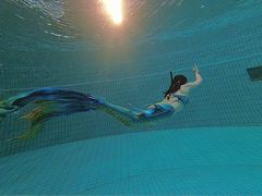 -重庆市奥林匹克体育中心-游泳跳水馆