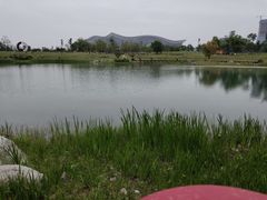 -桂溪生态公园