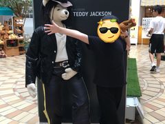 -济州岛泰迪熊博物馆