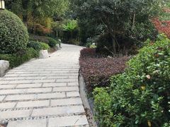 -天目湖涵田半山温泉