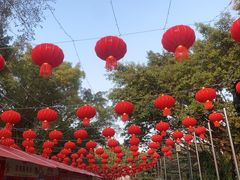 -南宁南湖公园