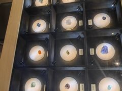 -陕西自然博物馆