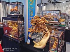 -三亚湾红树林国际会展中心(演出售票)