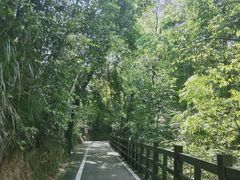 -广州市流溪河国家森林公园