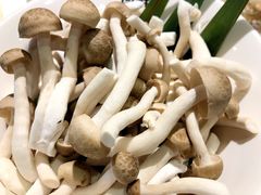 -何鲜菇火锅(大营盘店)