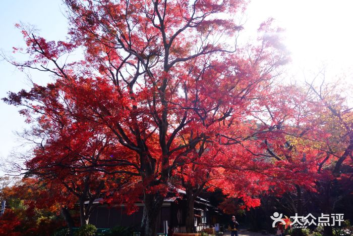 石清水八幡宫图片
