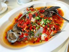 泡椒蒸珍珠斑-皇朝会.经典传统粤菜(外滩店)