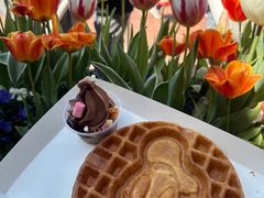 -IL paperino帕帕里诺冰激凌