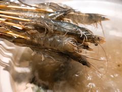 明虾-海煮叹鲜·粥底火锅·港式海鲜打边炉(赛银国际广场店)