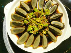 青椒皮蛋-红京鱼(西坝河店)