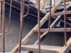 -五马集·海鲜·温州大牌档(黑金冠五马街十字路口店)