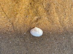 -那香海钻石沙滩浴场