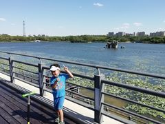 -大兴滨河森林公园