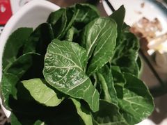 -同仁四季椰子鸡(福田东园总店)
