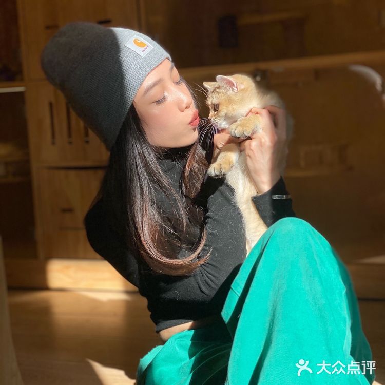 ❗️西安首家独栋别墅猫咖❗️🐈大唐御猫馆🎀