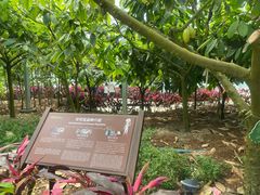 -歌斐颂巧克力小镇