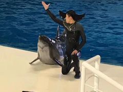 -泉城欧乐堡海洋极地世界