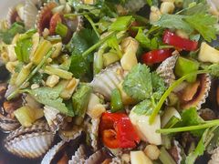 血蛤-肥弟大排档(汕樟路店)