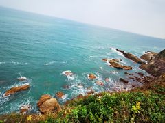 -杨梅坑