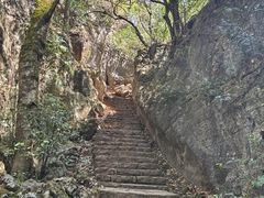 -普者黑风景区-青龙山