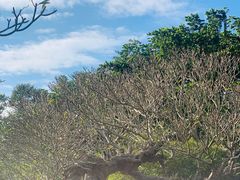 -紫颐香薰山谷景区