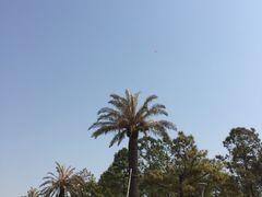 -美兰湖景区