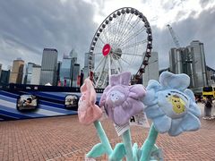 -玩具反斗城(海港城店)