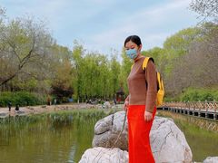 -云岗森林公园