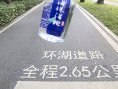 -海珠湖公园