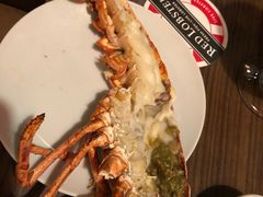 -RED LOBSTER(环球影城大阪店)