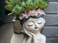 -庐灶江南·江南菜·四合院Bistro(东直门雍和宫·原华侨宾馆店)