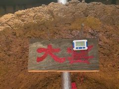 -破瓦寒窑·地摊烤羊排