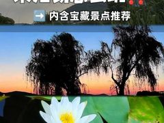 -长广溪湿地公园