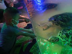 -华夏文旅海洋公园