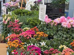 -上海鲜花港