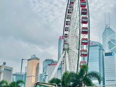 -Big Bus Tours 敞篷观光巴士