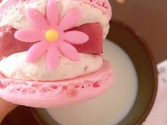 半熟花花马卡龙玫瑰双莓芝士味-好利来(旅顺世达店)