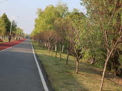 -艾溪湖湿地公园