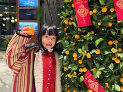 -上海虹桥祥源希尔顿酒店