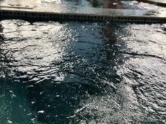 -上海浦东嘉里大酒店