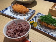 -堂本家·二代目·炸猪排(Express东海店)