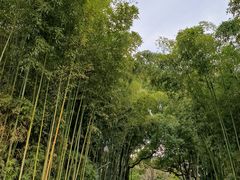 -苏州河梦清园环保主题公园