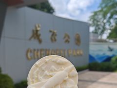 -成飞公园