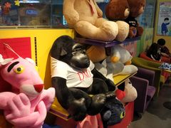 -PAWTOY爪e玩偶店(天兴罗斯福店)